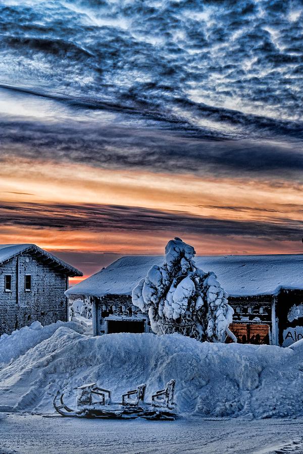 Sunrise on Sleigh in Finland Photograph by Roberta Kayne