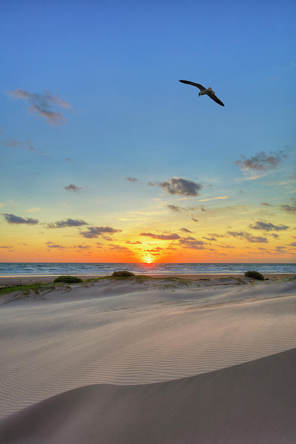 Sunrise on South Padre Island, Texas 2 Photograph by Rob Greebon
