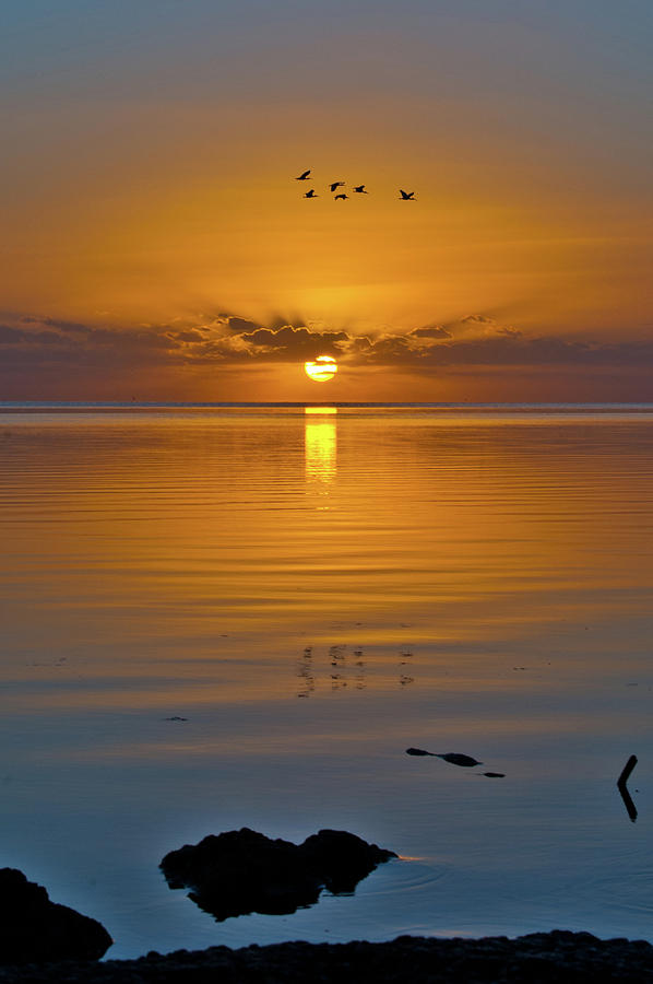 Sunrise on the Bay Photograph by Edgar Estrada