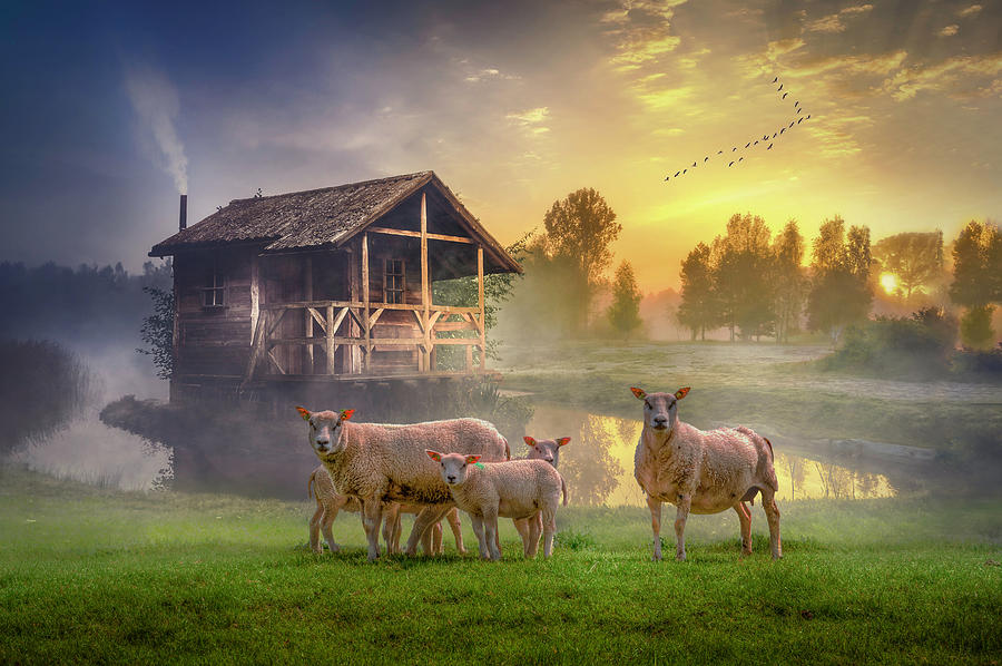 Sunrise on the Farm Digital Art by Debra and Dave Vanderlaan