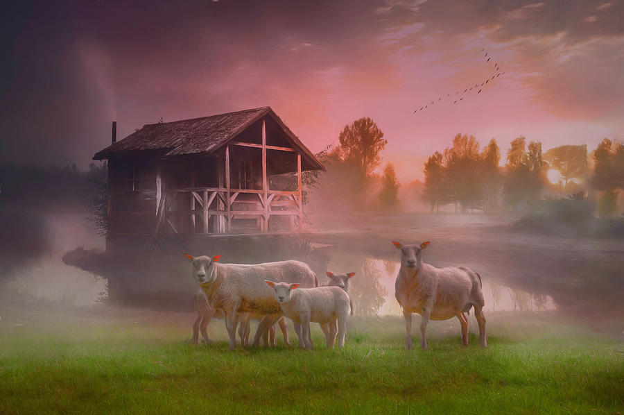 Sunrise on the Farm on a Dreamy Morning Photograph by Debra and Dave Vanderlaan