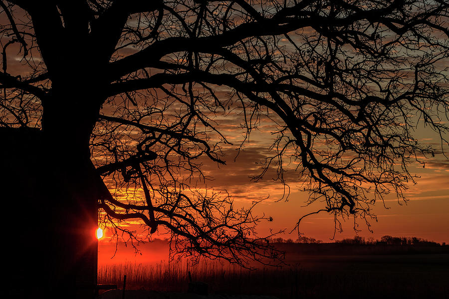 Sunrise on the Farm Photograph by Sandra Js
