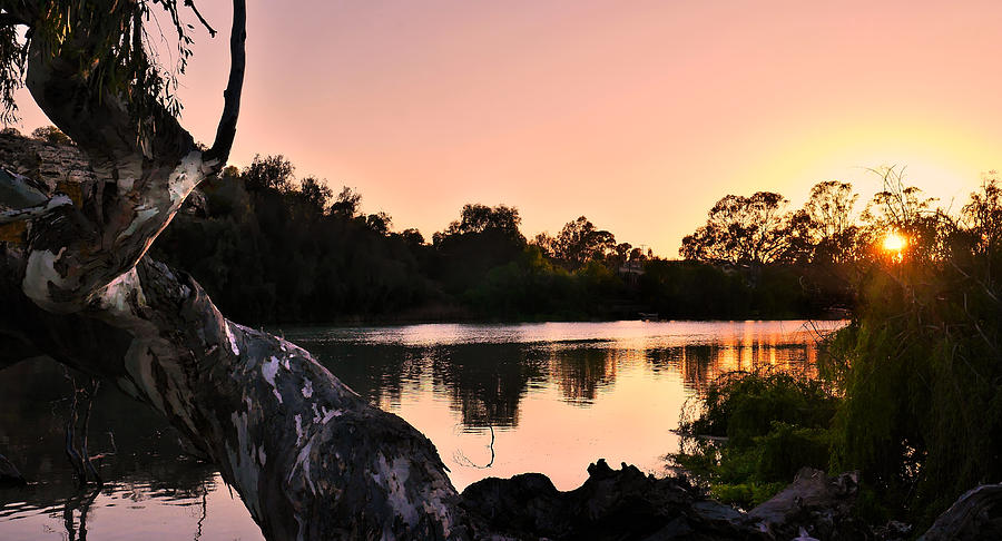 Sunrise on the Murray River Photograph by Lexa Harpell