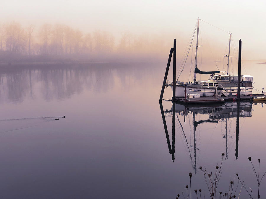 Sunrise on the Willamette by Mark David Gerson Sunrise on the Willamette by Mark David Gerson