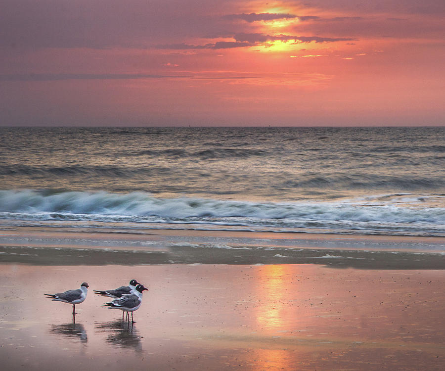 Sunrise on Tybee Island  Photograph by James Woody
