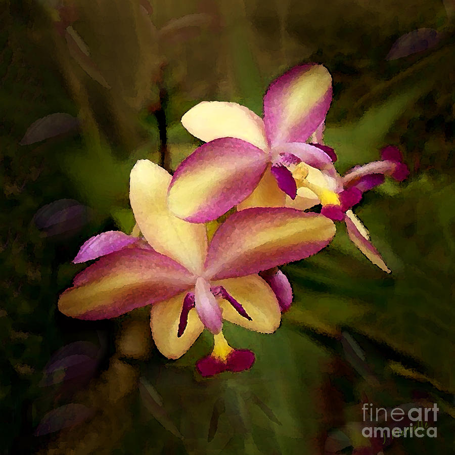 Sunrise Orchids Digital Art by J Marielle