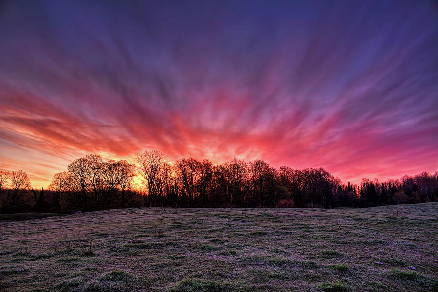 Sunrise Over A Frosted Pasture Photograph by Dale Kauzlaric