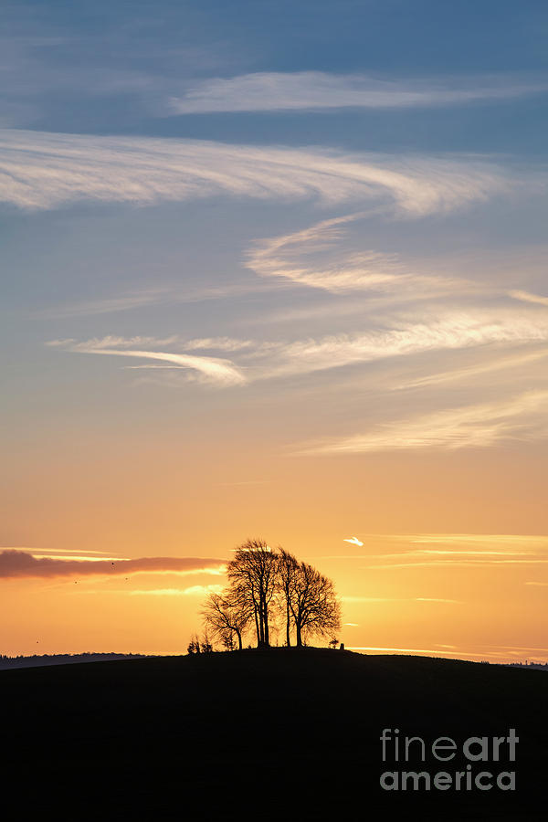 Sunrise over Brightwell Round Barrow Photograph by Tim Gainey