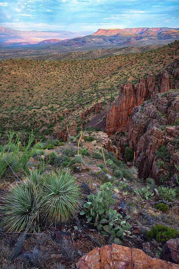 Sunrise over Canyons in central Arizona vertical Photograph by Dave Dilli