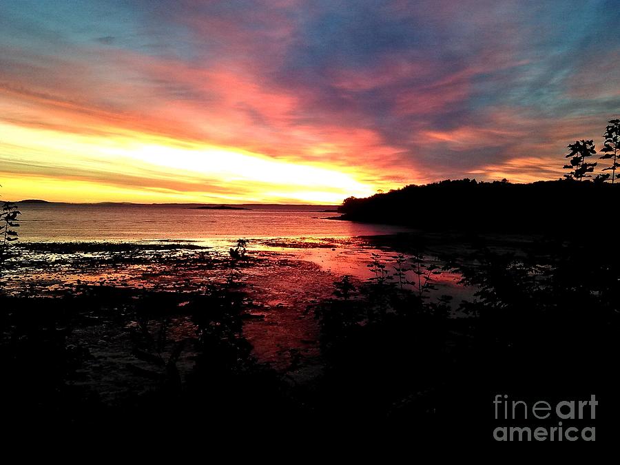 Sunrise Over Glen Cove Photograph by Dave Langdon - Fine Art America