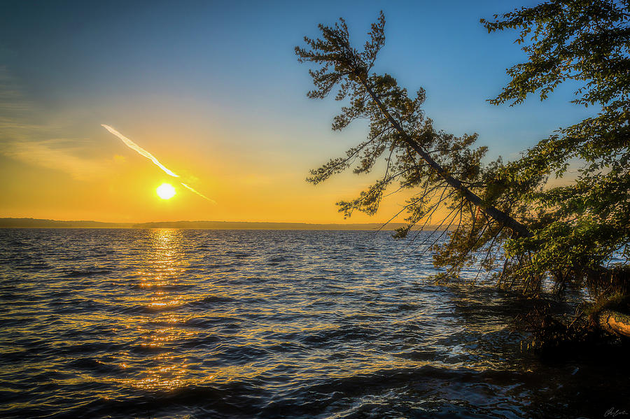 Tree Photograph - Sunrise Over Hamlin Lake by Owen Weber