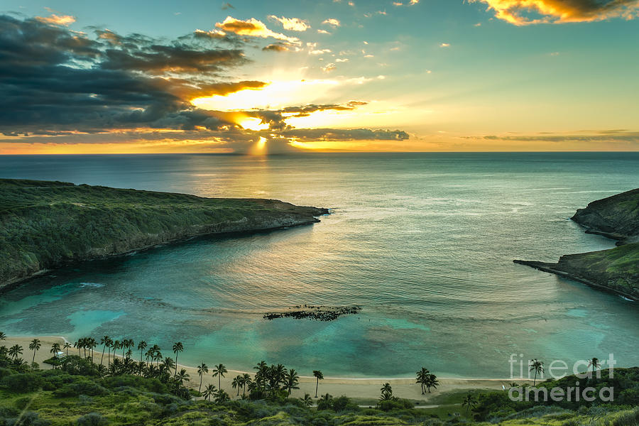 Tree Photograph - Sunrise Over Hanauma Bay On Oahu Hawaii by Leigh Anne Meeks Tree Photograph - Sunrise Over Hanauma Bay On Oahu Hawaii by Leigh Anne Meeks