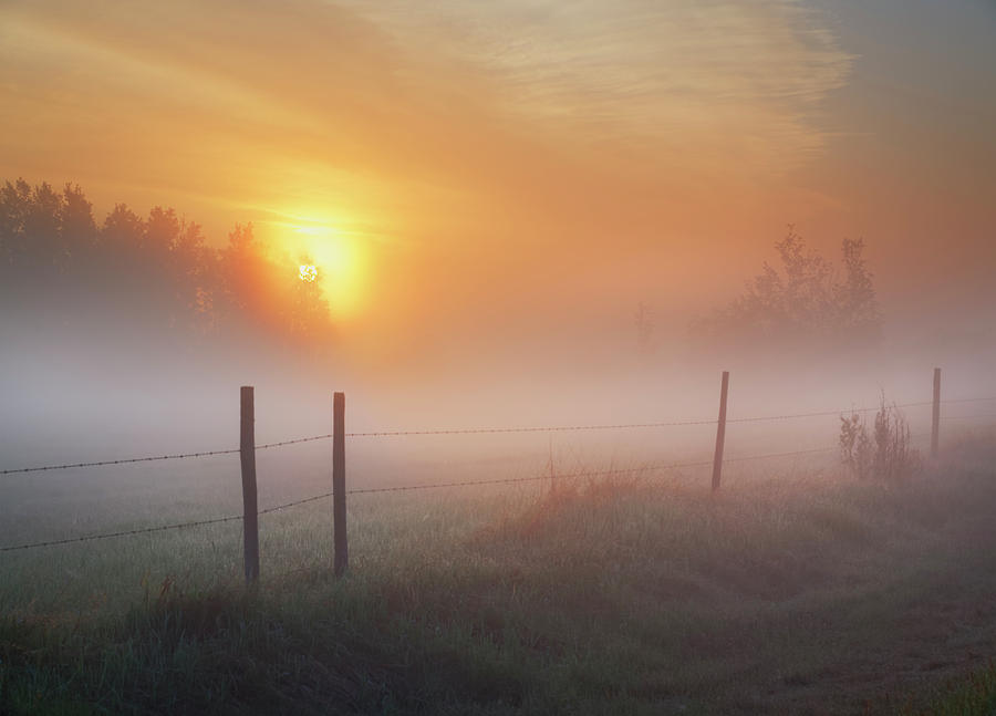 Sunrise Over Morning Pasture Photograph by Dan Jurak