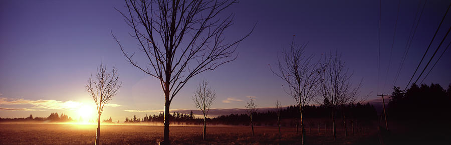 Sunrise Over Wax Orchard Farm, Vashon Photograph by Aaron Mccoy