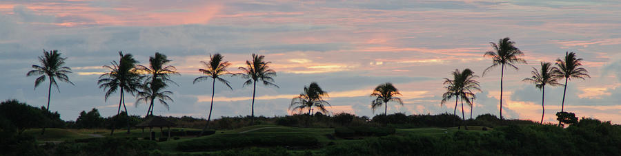 Sunrise Palm Trees Pano Photograph by Jack Nevitt Photography