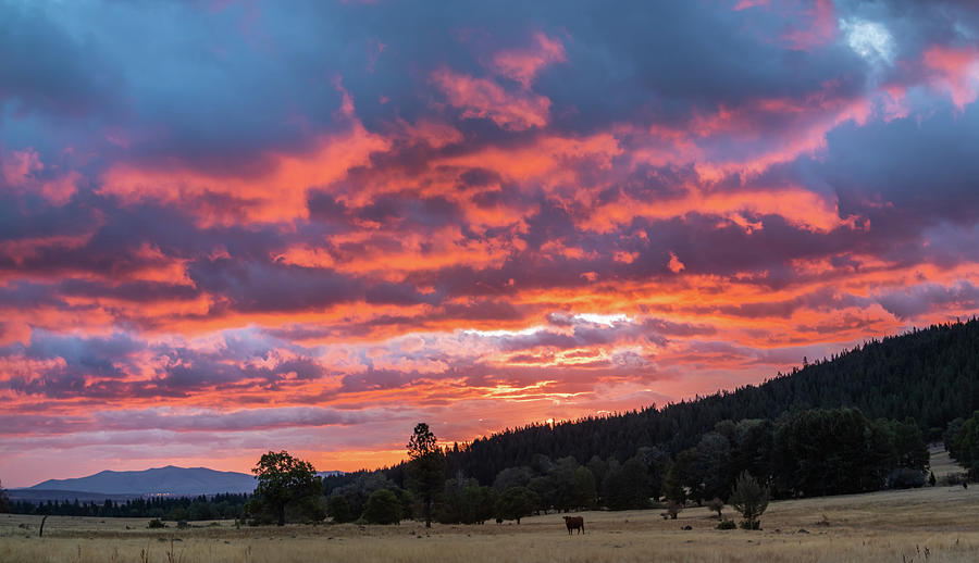 Sunrise Panorama Photograph by Randy Robbins