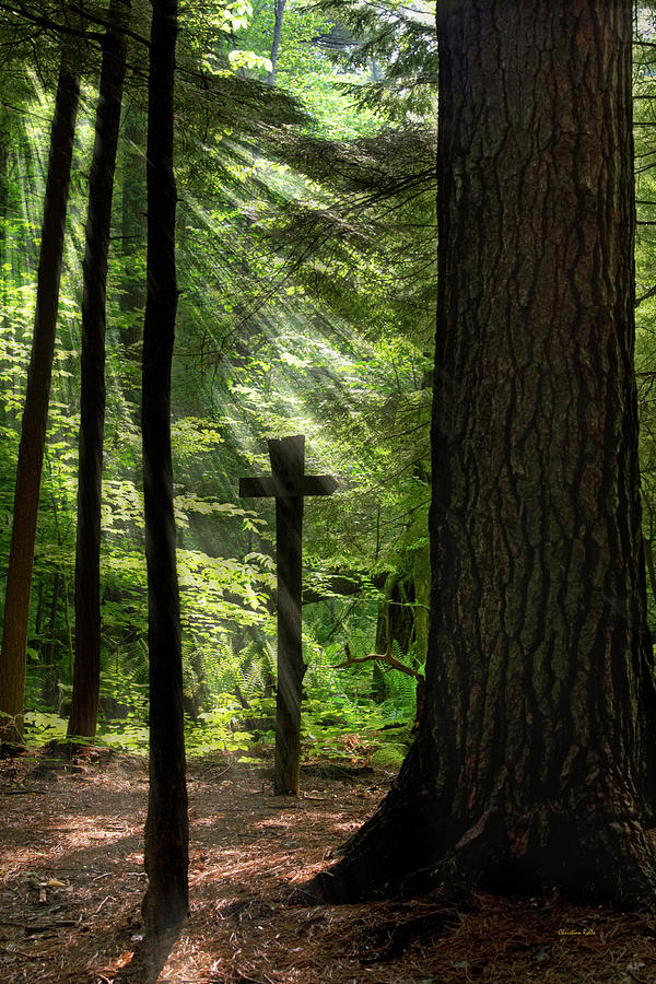 sunrise-prayer-photograph-by-christina-rollo-fine-art-america