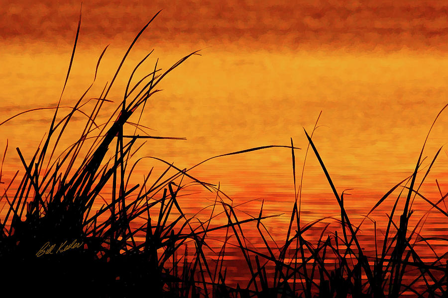 Sunrise Reflected On The Pond Photograph by Bill Kesler