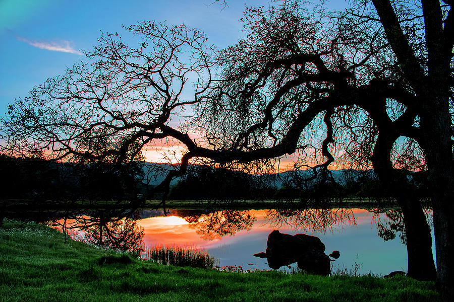 Sunrise Reflections 32516-259 Photograph By Kathy Whipple Wong - Fine ...