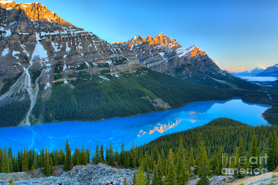 Sunrise Reflections In Peyto Lake Photograph by Adam Jewell