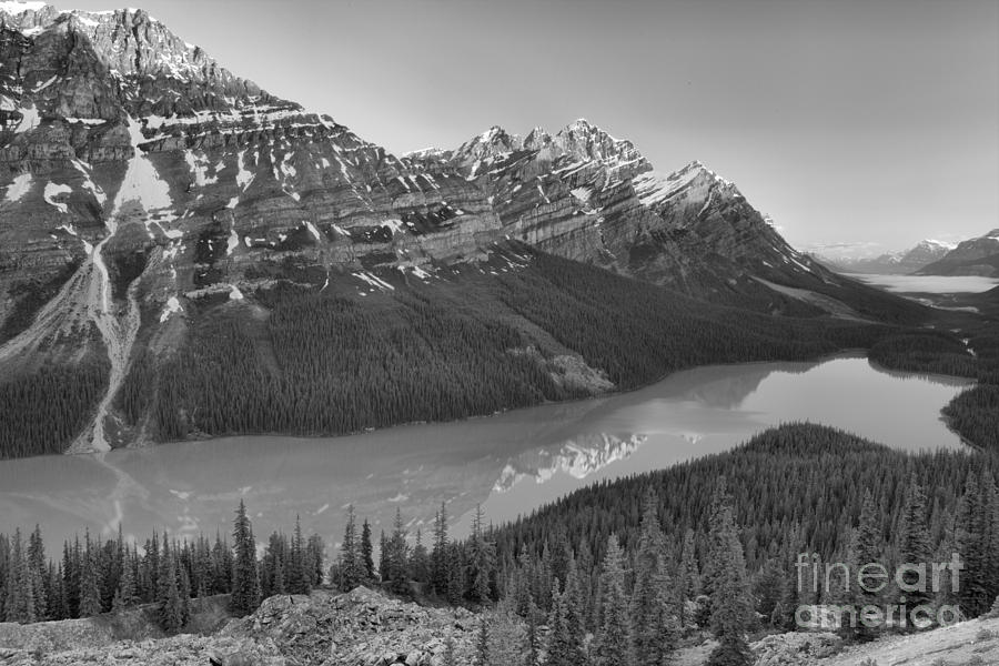 Sunrise Reflections In Peyto Lake Black And White Photograph by Adam Jewell