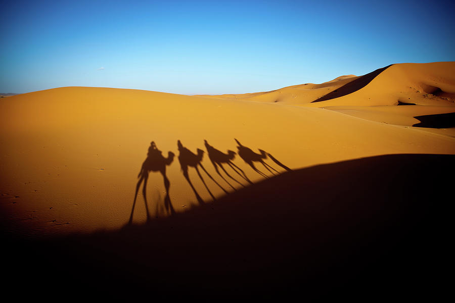 Sunrise Sahara Photograph by Helens Image