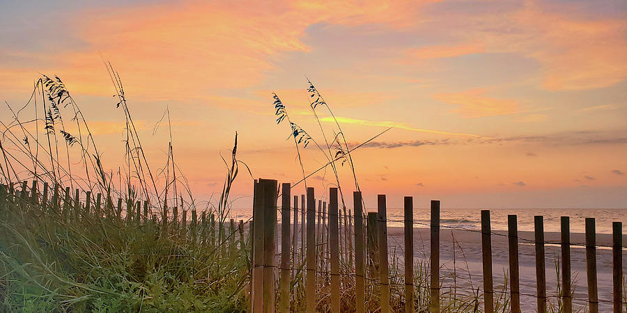 Sunrise Sand Dunes Photograph by Darrell Foster