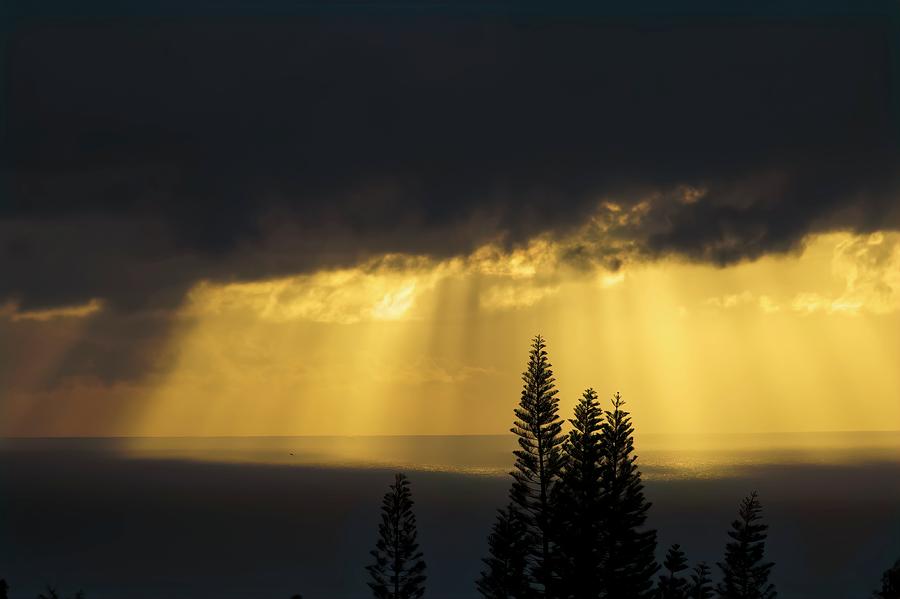 Sunrise Sentinels Photograph by Heidi Fickinger