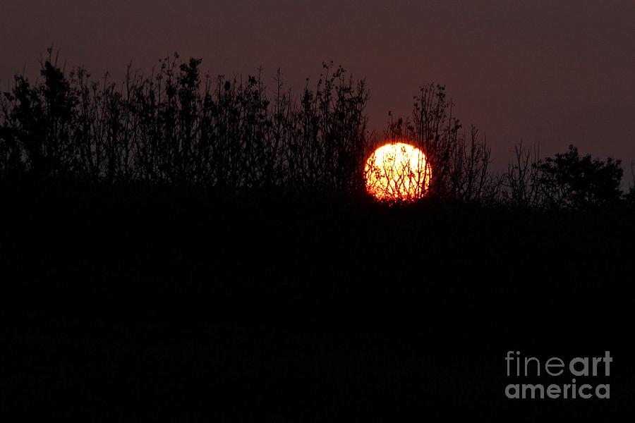 Sunrise Silhouette Photograph by Ann E Robson