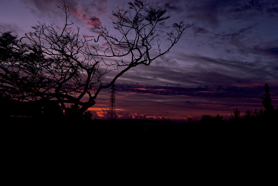 Sunrise Silhouette Photograph by Eric Hafner