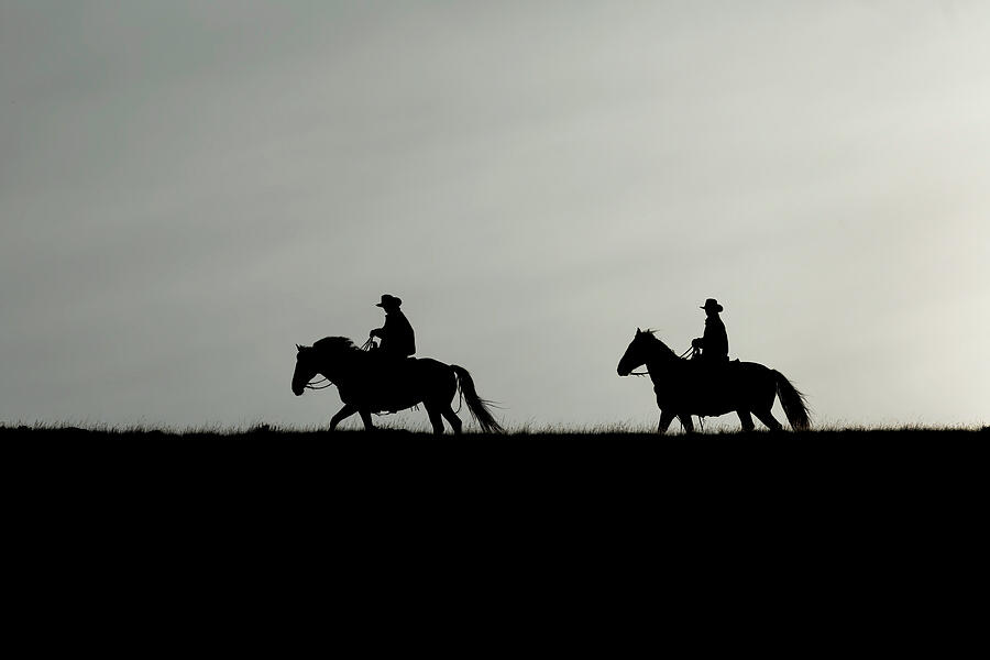 Sunrise Silhouette Photograph by Kay Brewer - Fine Art America