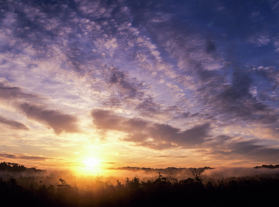 Sunrise Sky Photograph by Robert Potts