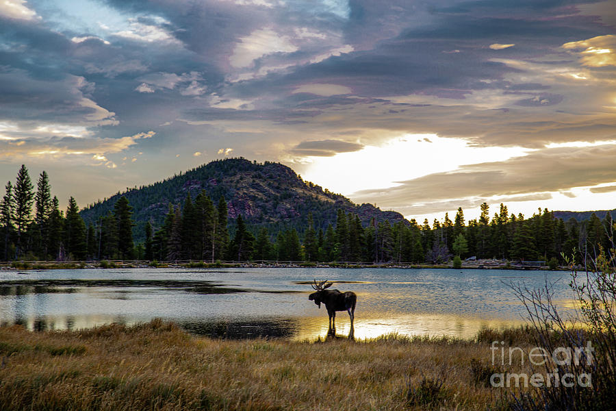 Sunrise Surprise by Lynn Sprowl Sunrise Surprise by Lynn Sprowl