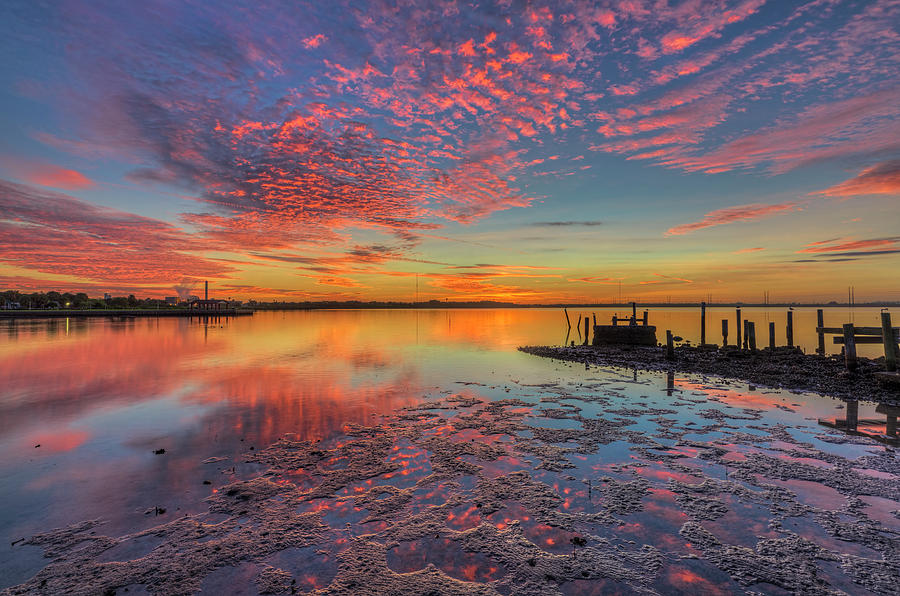Sunrise Tampa Bay Photograph by Justin Battles