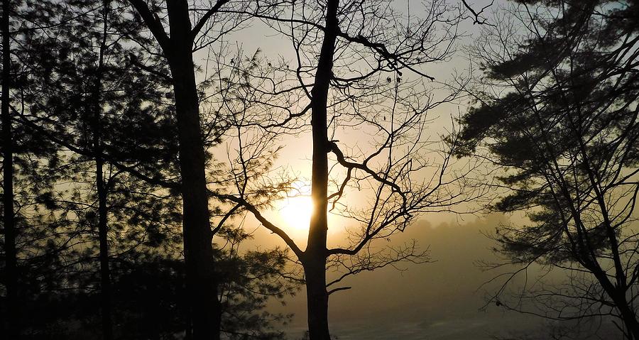 - Sunrise through Fog Photograph by THERESA Nye