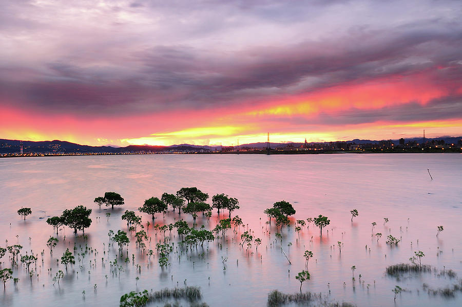 Sunrise Wugu Wetland Photograph by Copyright Of Eason Lin Ladaga