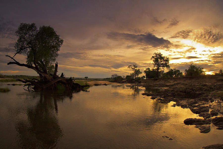 Sunrise, Zambezi National Park, Zambia Photograph by Thomas Varley