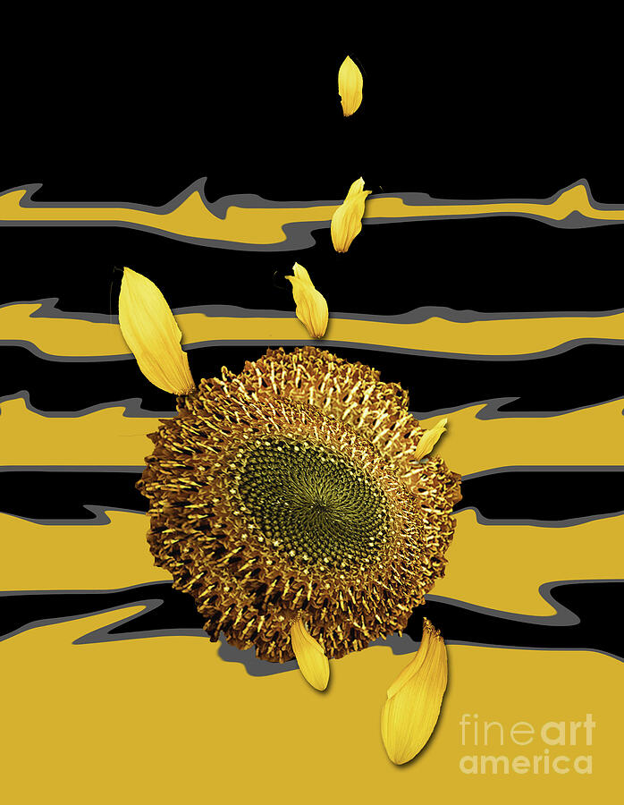 Suns Flower Digital Art by Fei A