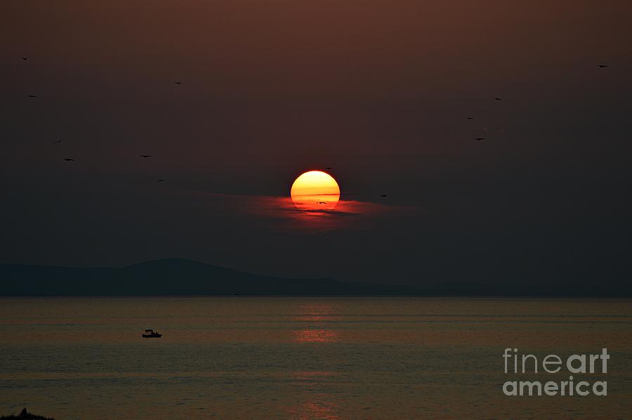 Sunset @ Zadar Photograph by Thomas Schroeder