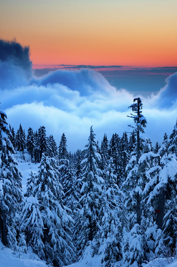 Sunset Above The Clouds In Winter Photograph by Andrew Luyt
