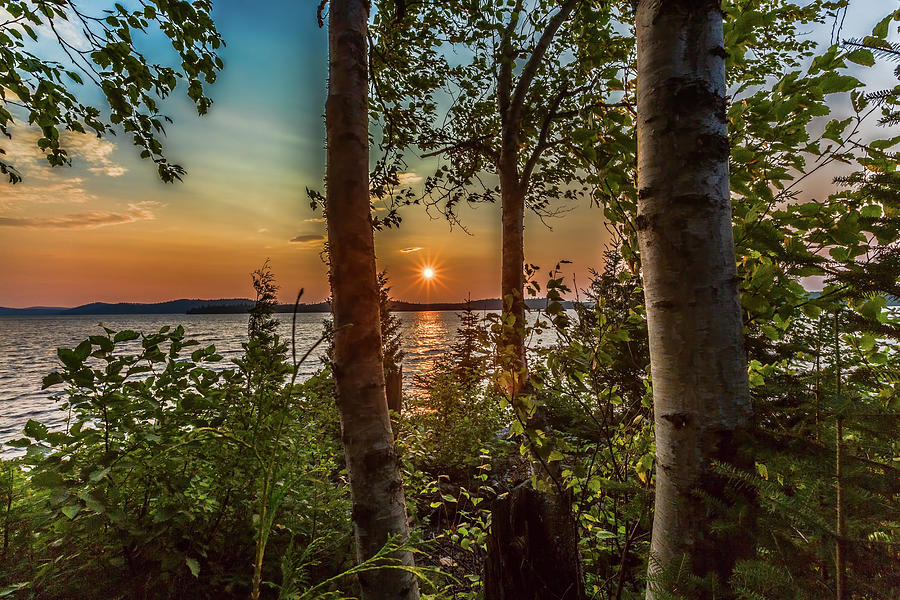 Sunset along Dog Lake Photograph by Joe Holley