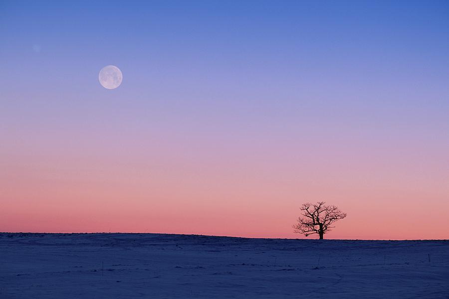 Sunset And A Full Moon Over A Snowy Photograph by Yasuko Aoki/amanaimagesrf