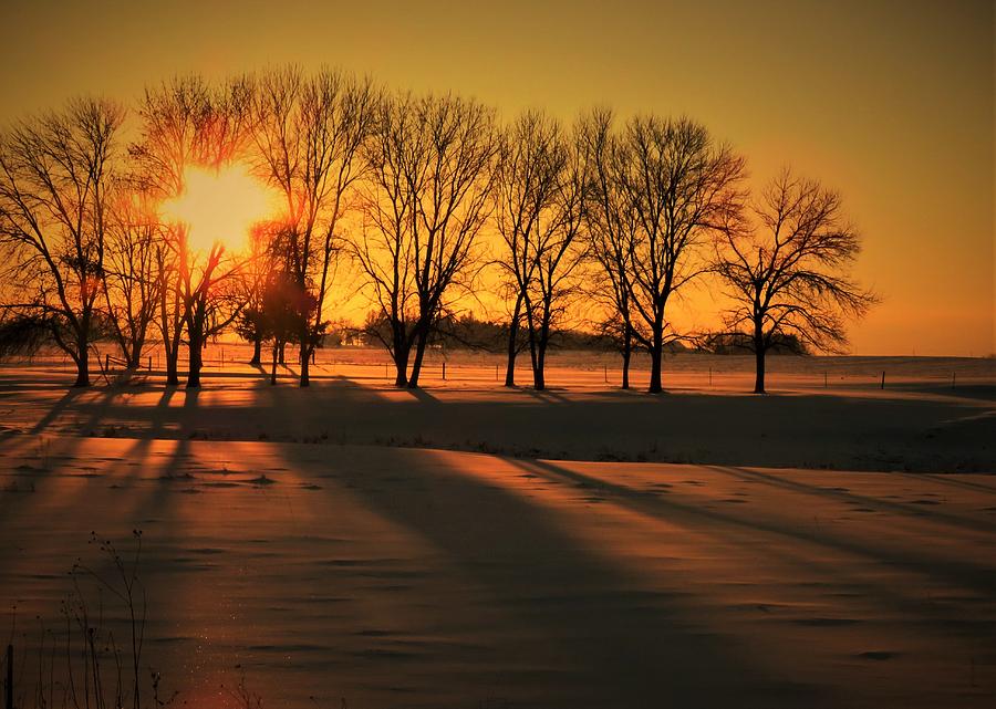 Sunset and Shadows  Photograph by Lori Frisch