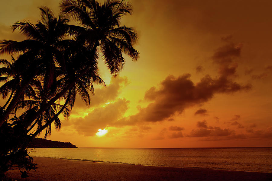 Sunset At A Tropical Beach In The Photograph by Cdwheatley