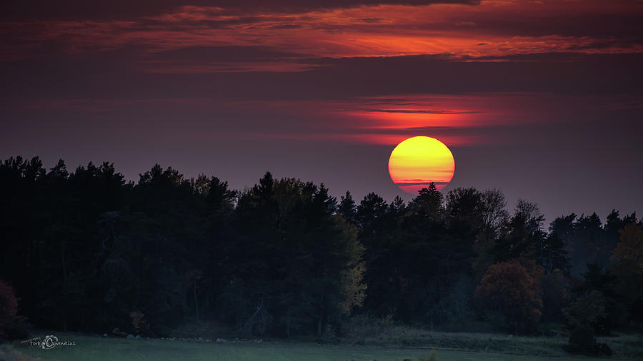Sunset at an hazy evening Photograph by Torbjorn Swenelius