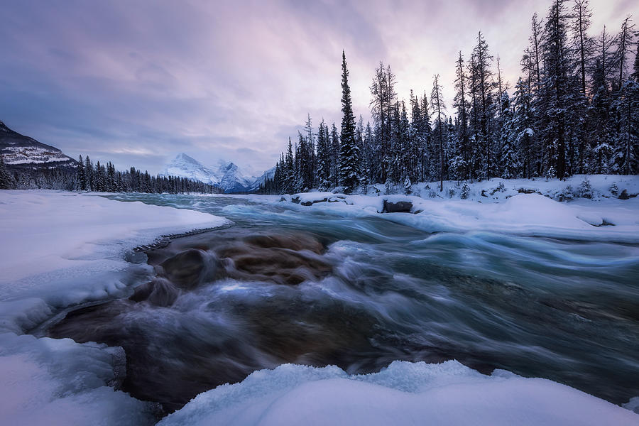 Sunset At Athabasca River II Photograph by Dennis Zhang