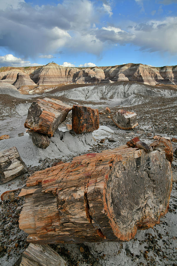 Sunset at Blue Mesa in Petrified Forest Photograph by Ray Mathis