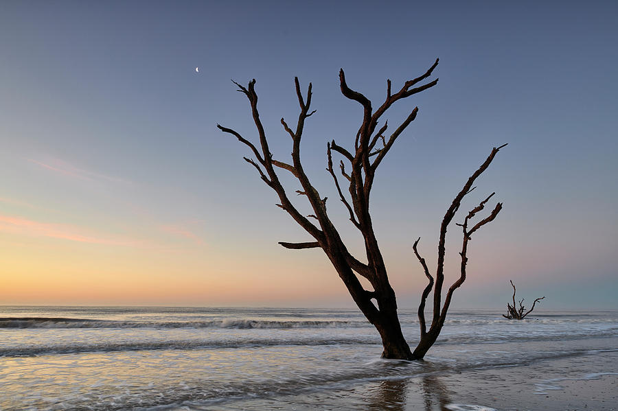 Sunset at Botany Bay Photograph by Jon Glaser