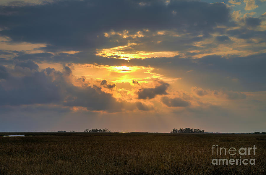 Sunset At Florida Wetlands Photograph by Felix Lai