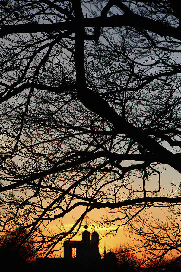 Sunset At Greenwich Park  Photograph by Aidan Moran